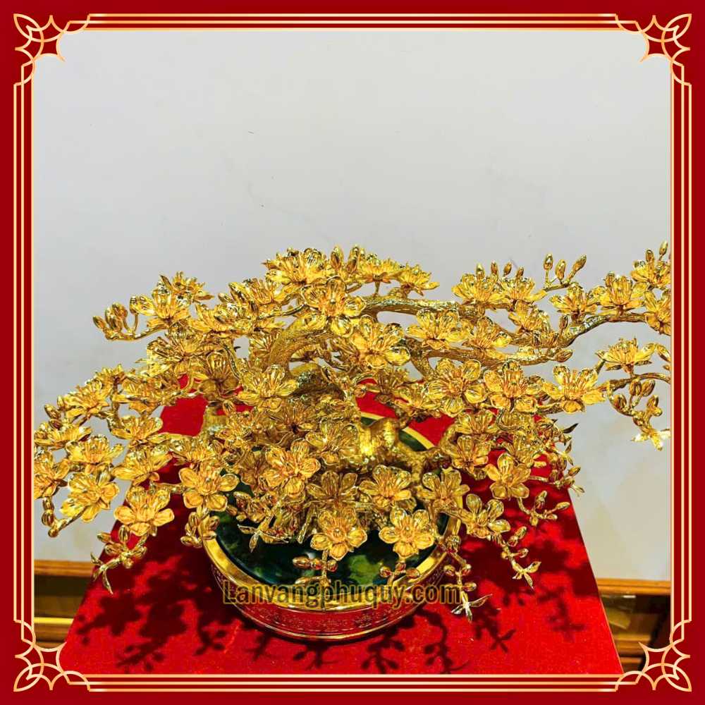 Mai Vàng Phú Quý - MVPQ03