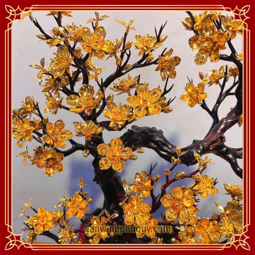 Mai Vàng Phú Quý - MVPQ023