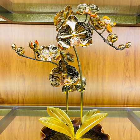 Dong my nghe cao cap