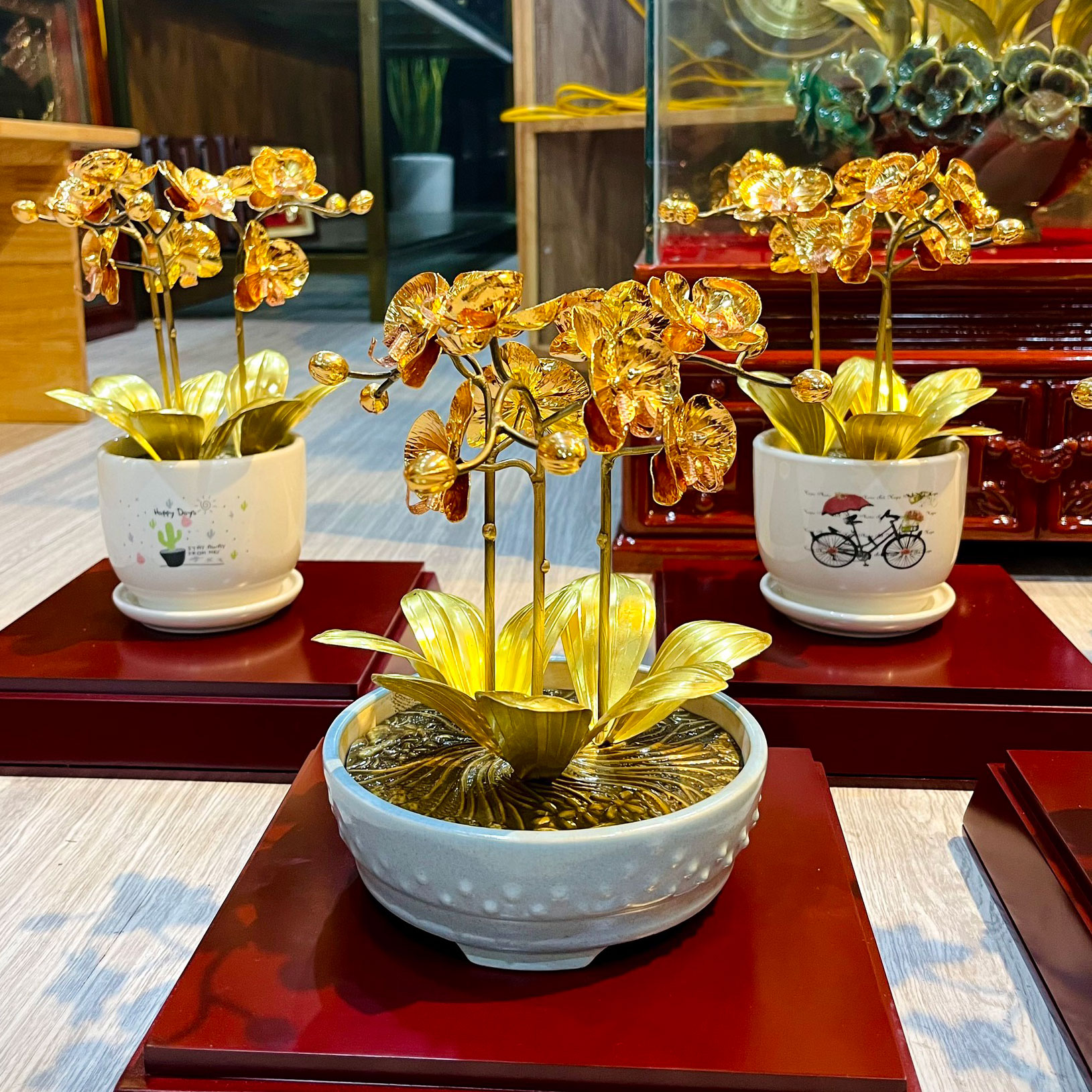 Combo quà tặng Lan phú quý 01