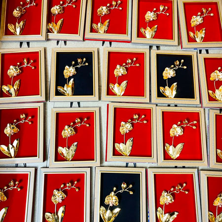 Combo Lan vàng Đất Việt