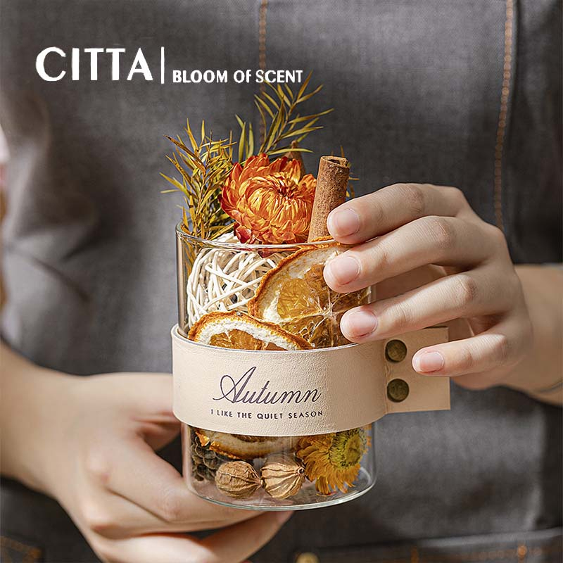 CITTA Hộp Quà Tinh Dầu Thơm Khuếch Tán Trang Trí PLANT SPIRIT Decor Bàn Làm Việc
