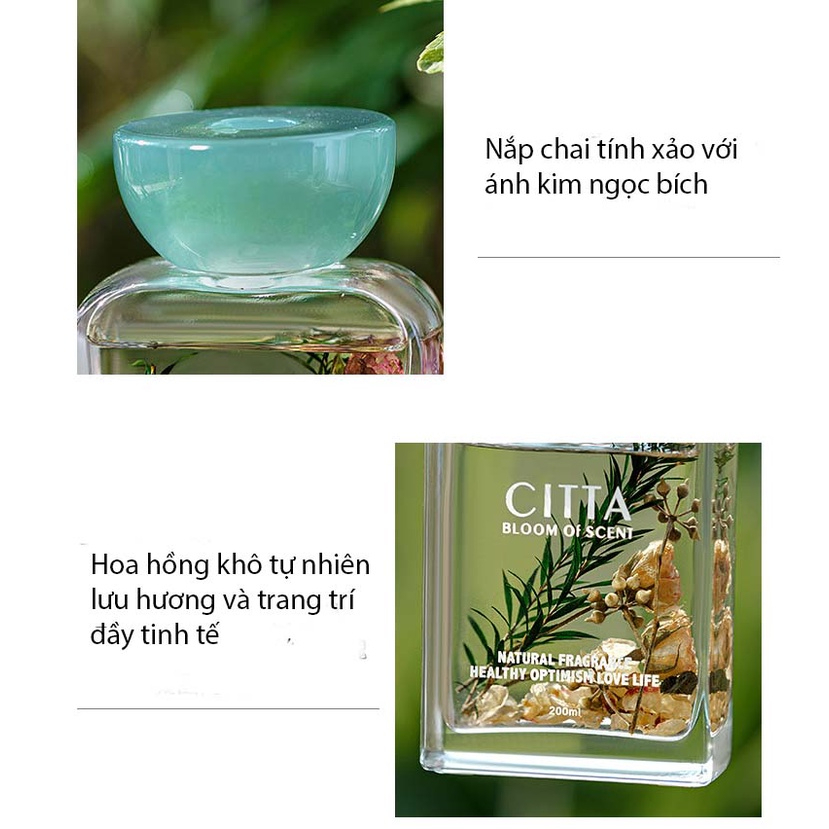 CITTA Tinh Dầu Thơm Phòng Cao Cấp RUGOSA ROSE Hương Hoa Hồng Nhật Bản