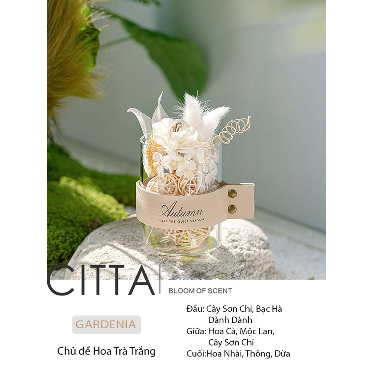 CITTA Hộp Quà Tinh Dầu Thơm Khuếch Tán Trang Trí PLANT SPIRIT Decor Bàn Làm Việc