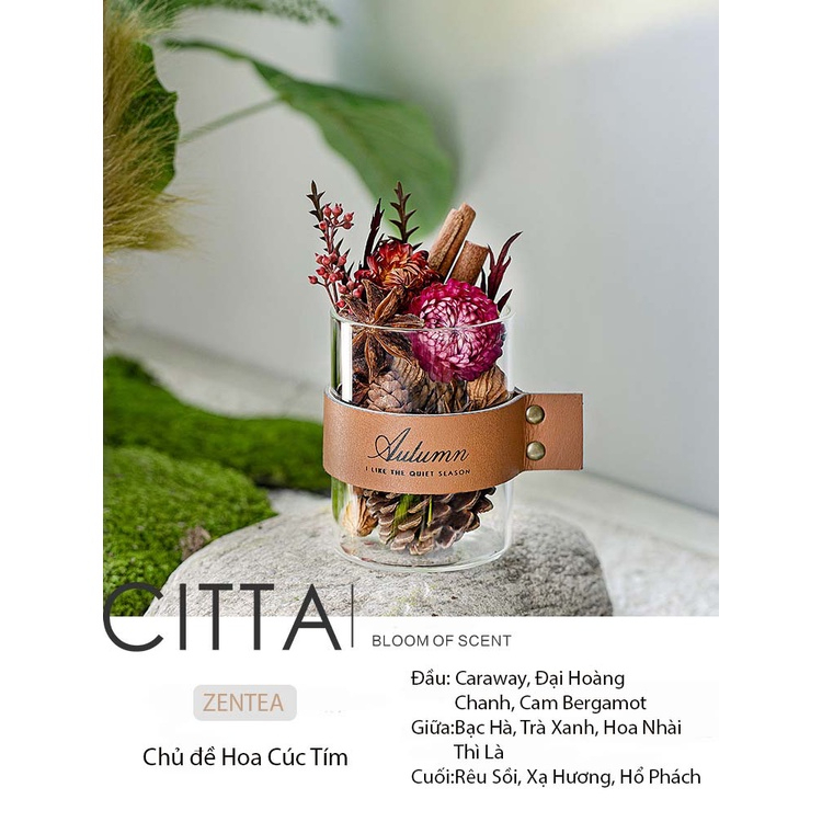 CITTA Hộp Quà Tinh Dầu Thơm Khuếch Tán Trang Trí PLANT SPIRIT Decor Bàn Làm Việc