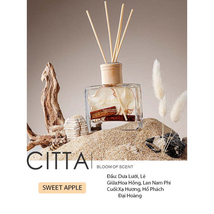 CITTA Tinh Dầu Thơm Phòng WARMTH OF WINTER 120 ml - Tinh Dầu Thơm Khuếch Tán Sự Ấm Áp