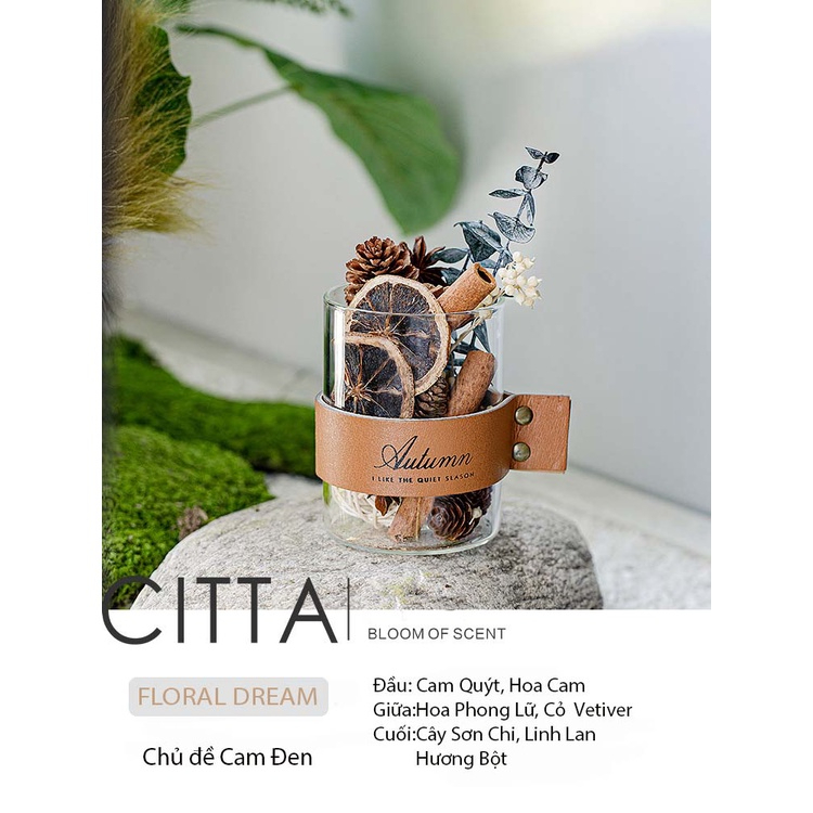 CITTA Hộp Quà Tinh Dầu Thơm Khuếch Tán Trang Trí PLANT SPIRIT Decor Bàn Làm Việc