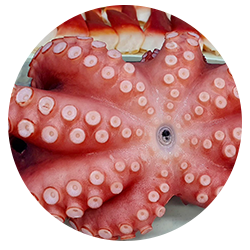 HẢI SẢN CAO CẤP 