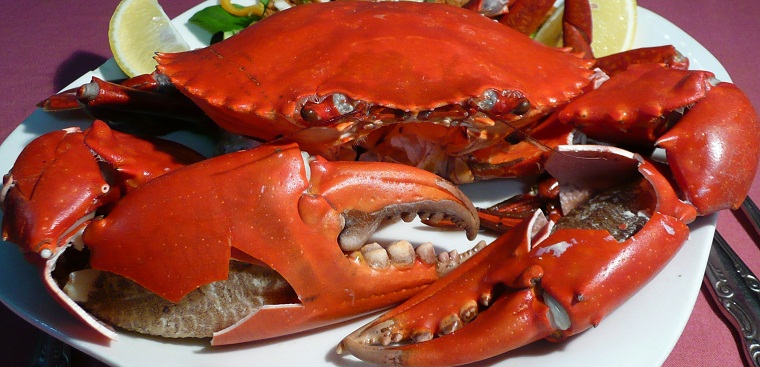 Cua hấp