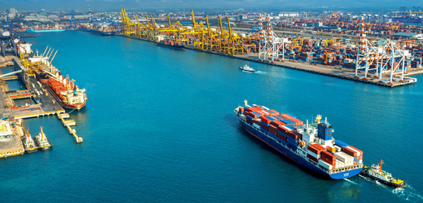 Thành tựu đạt được