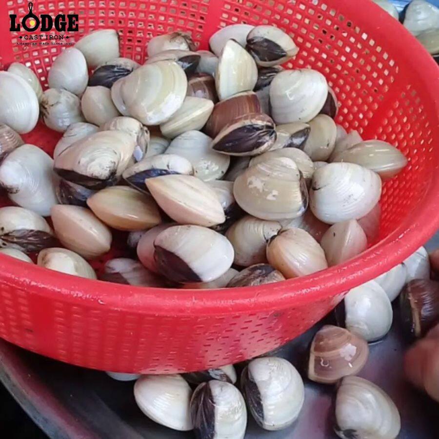 Sơ chế ngao để nấu canh