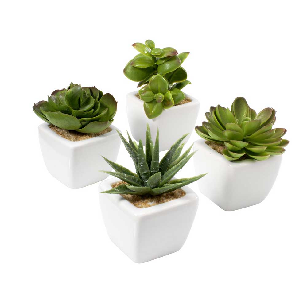 Cây trang trí HAAKON nhựa/gốm 5x5x9cm