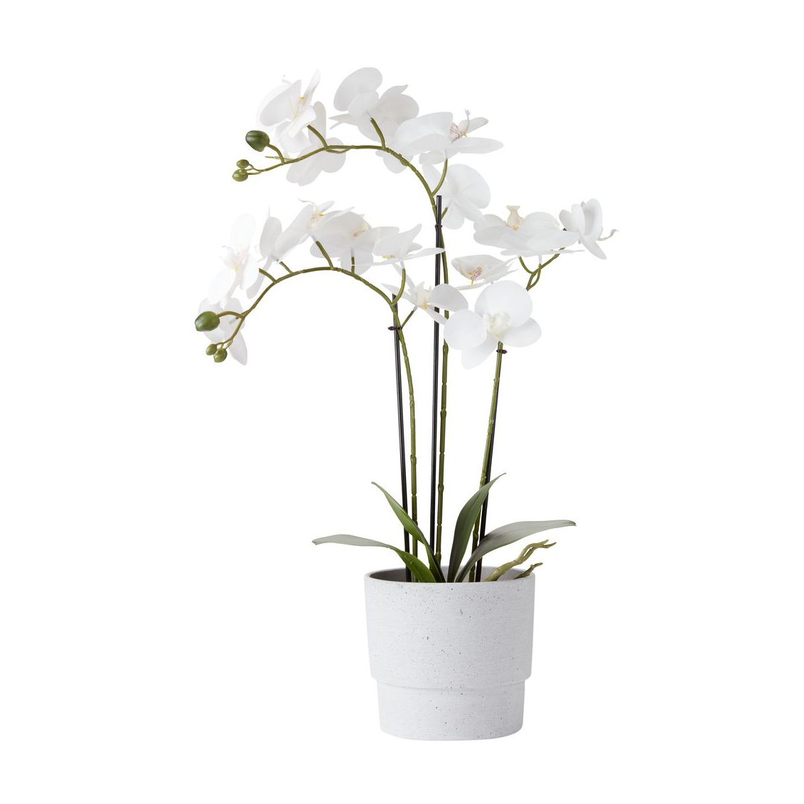 Cây trang trí MATINUS nhựa PE/thép xanh lá/trắng C62cm