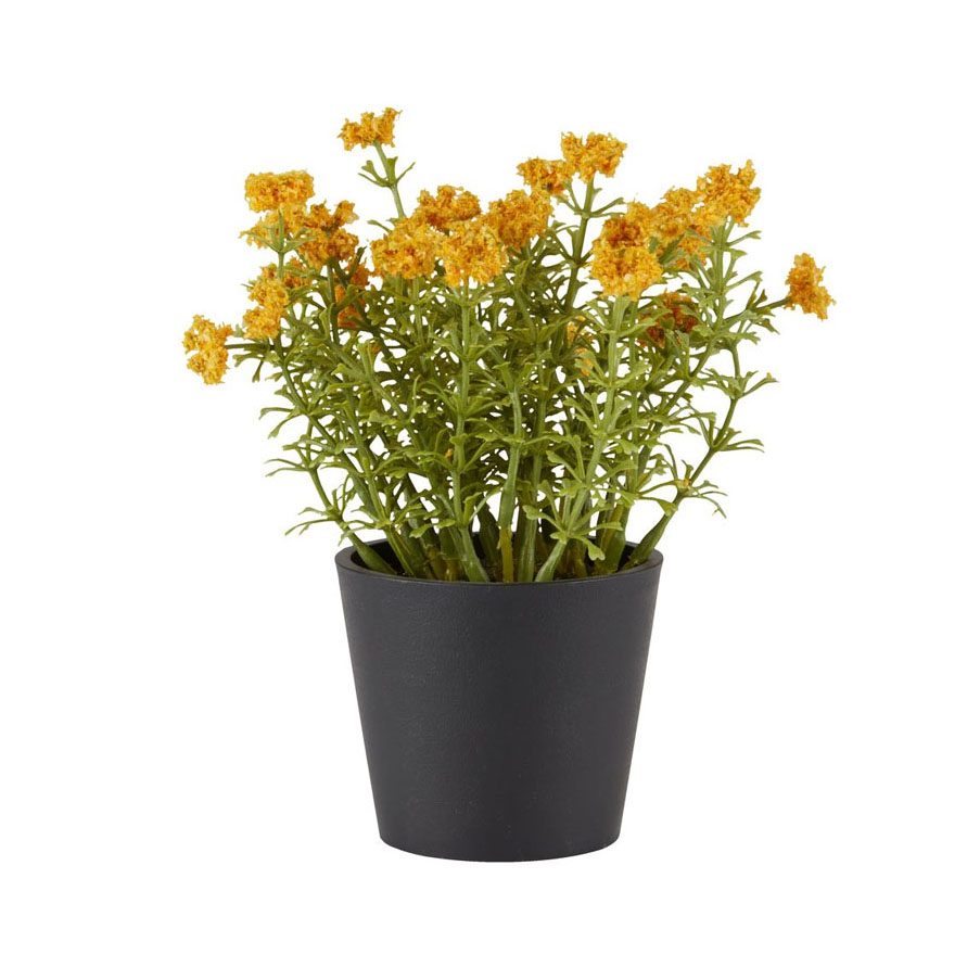 Cây trang trí KALLE nhựa PE/xi măng vàng Ø13xC16cm