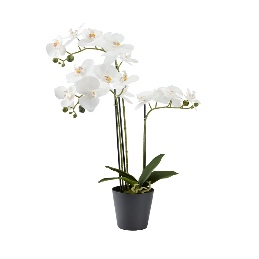 Cây trang trí MATINUS nhựa PE/thép xanh lá/trắng C62cm