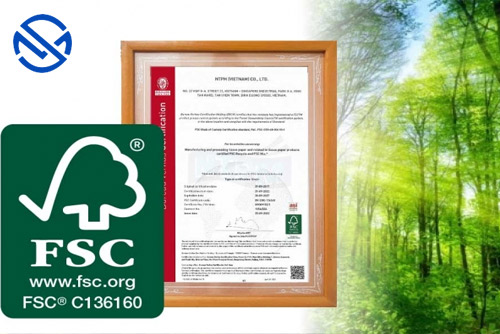 Điều kiện đạt FSC: Hướng dẫn chi tiết từ A đến Z