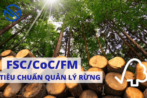 So sánh giữa FSC-CoC và FSC-FM: bảng so sánh chi tiết