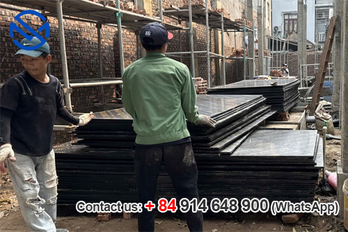 So sánh gỗ coffa công nghiệp và gỗ coffa tự nhiên
