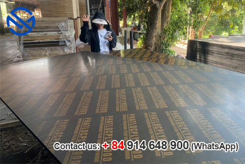 Ván ép phủ phim tại Quảng Ninh