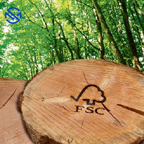 So sánh giữa FSC-CoC và FSC-FM