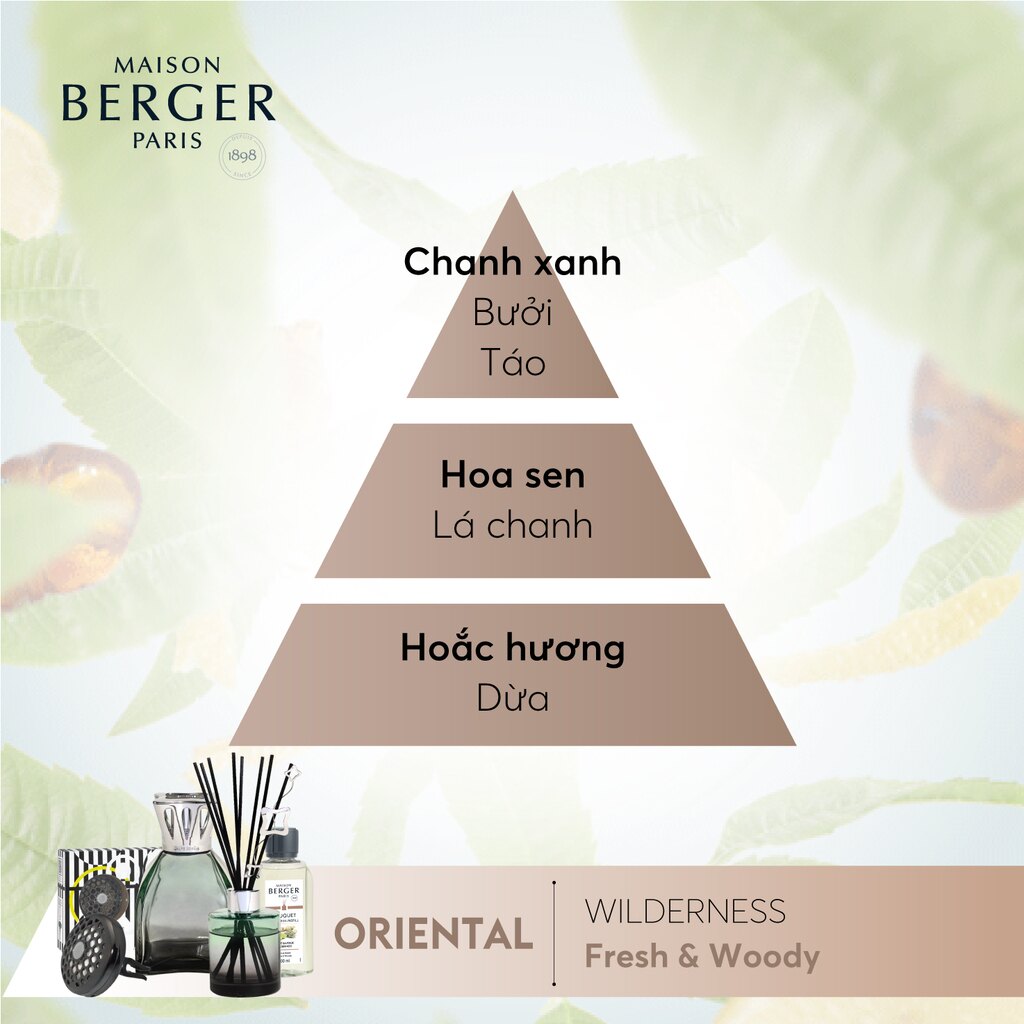 Maison Berger - Bộ kẹp tinh dầu xe hơi Illusion Wilderness - 2 món
