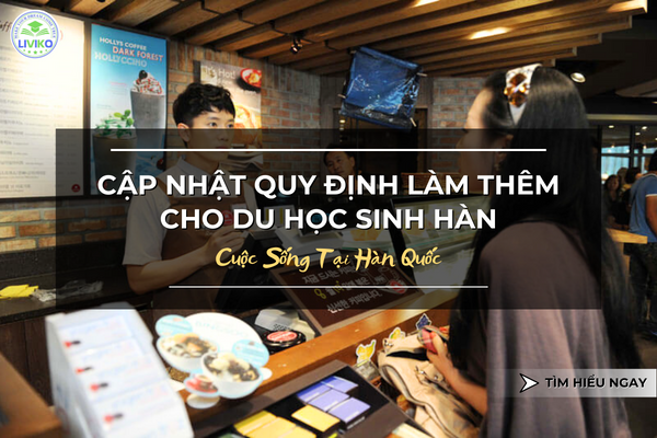 Cuộc Sống Hàn Quốc: Cập Nhật Về Quy Định Làm Thêm Mà Du Học Sinh Nên Biết
