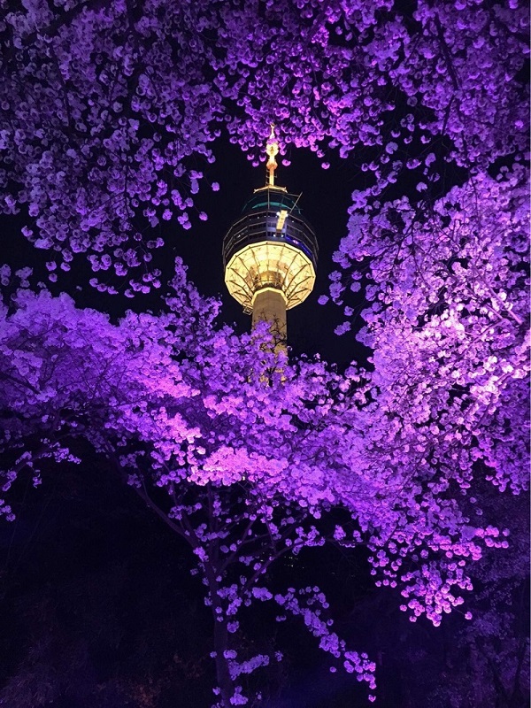 Du học Hàn Quốc