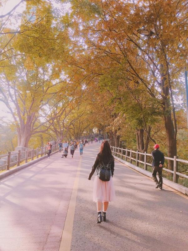 Du học Hàn Quốc