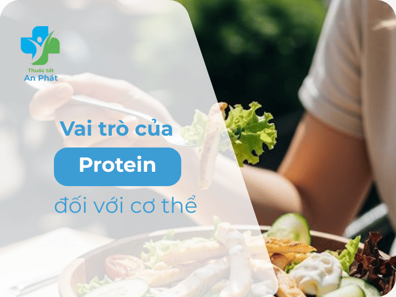 Khoa Học Về Dinh Dưỡng: Vai Trò Của Protein Và Cách Nhận Biết Cơ Thể Thiếu Đạm