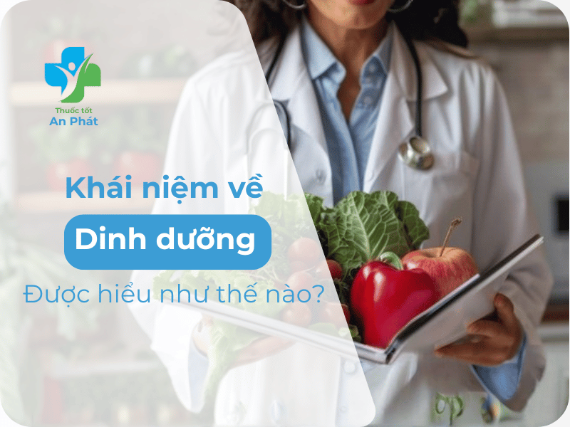Dinh dưỡng là gì? Hiểu đúng để nuôi dưỡng cơ thể khỏe mạnh từ gốc