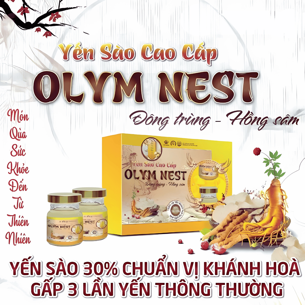 Yến Sào Cao Cấp Olym Nest Đông Trùng, Hồng Sâm - Hỗ Trợ Bồi Bổ Sức Khỏe, Nâng Cao Sức Đề Kháng (Hộp 06 Hũ)
