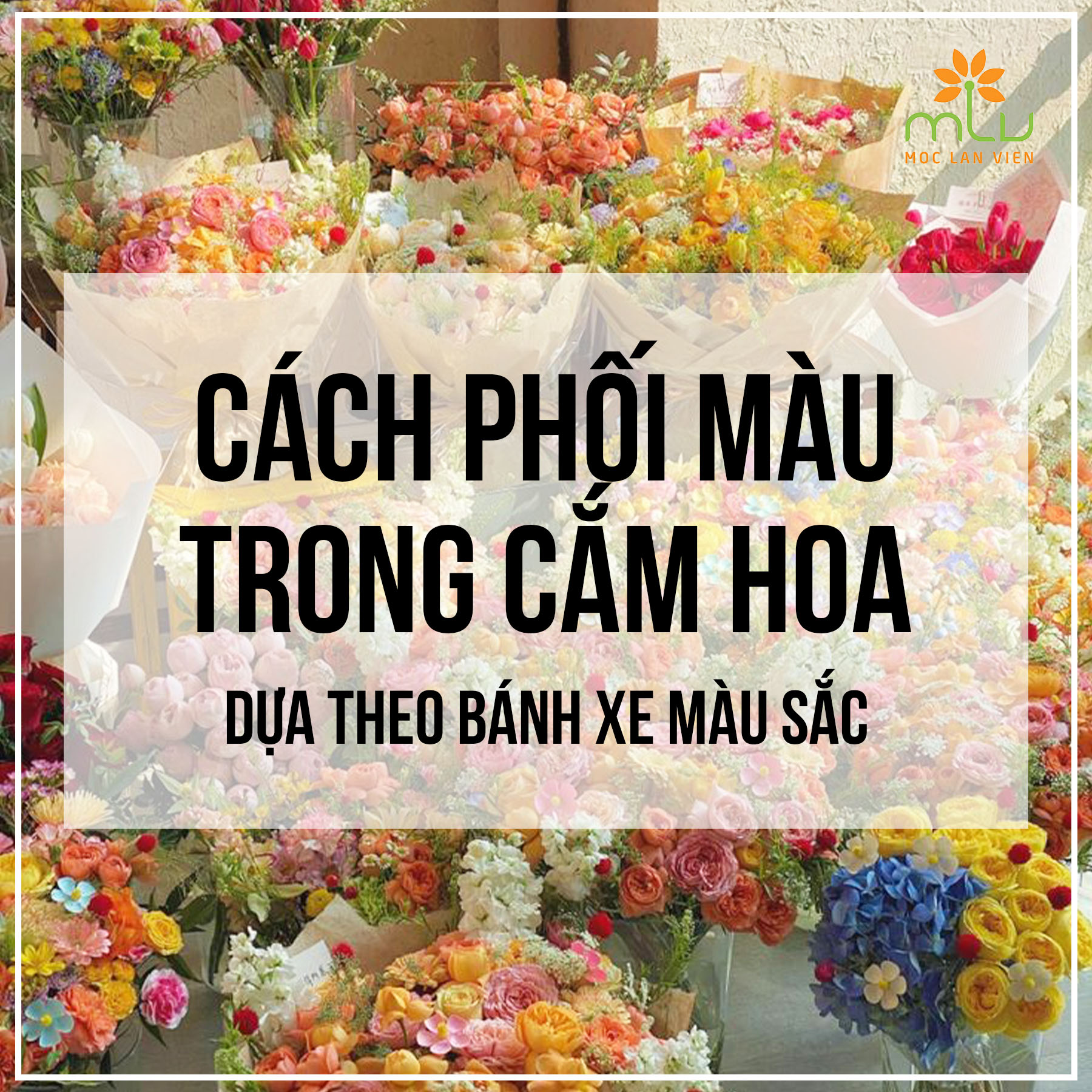 Tuân thủ 7 nguyên tắc phối màu trong cắm hoa cơ bản dựa theo bánh xe màu sắc