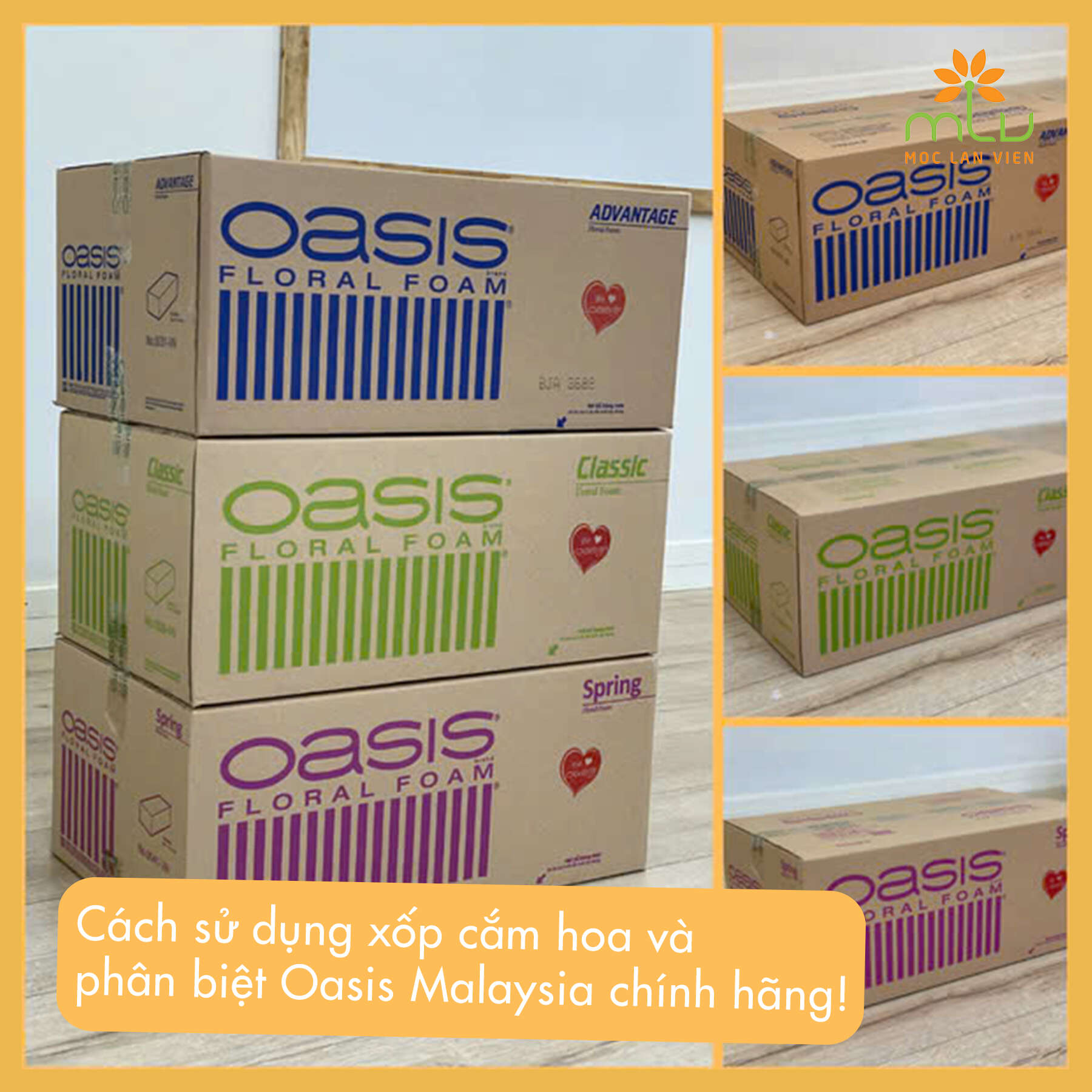 Mách bạn: Cách phân biệt xốp Oasis Malaysia và sử dụng xốp cắm hoa đúng cách