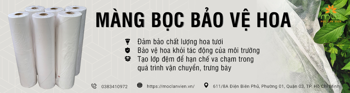 Màng bọc hoa lan