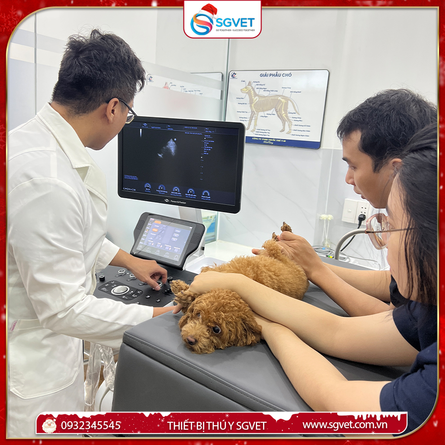 DÒNG MÁY SIÊU ÂM ĐANG ĐƯỢC ƯA CHUỘNG TẠI CÁC PHÒNG KHÁM THÚ Y