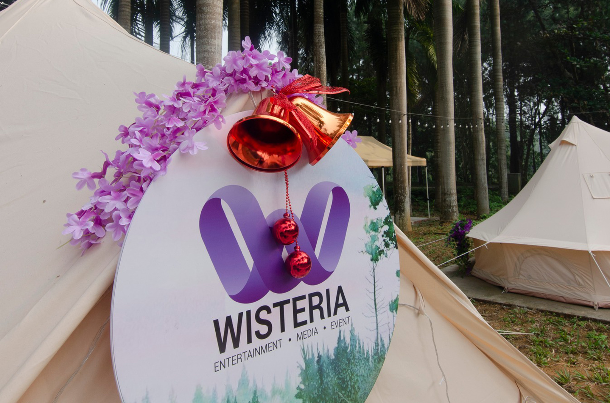 Mùa Giáng sinh này, hãy khám phá Wisteria - Thiên đường của đêm Giáng sinh