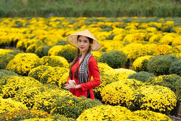 Làng hoa Sa Đéc – Thiên đường hoa rực rỡ giữa lòng miền Tây