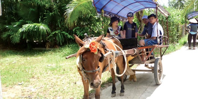 TOUR TP.HCM - MỸ THO - CẦN THƠ - CÀ MAU 3N2Đ