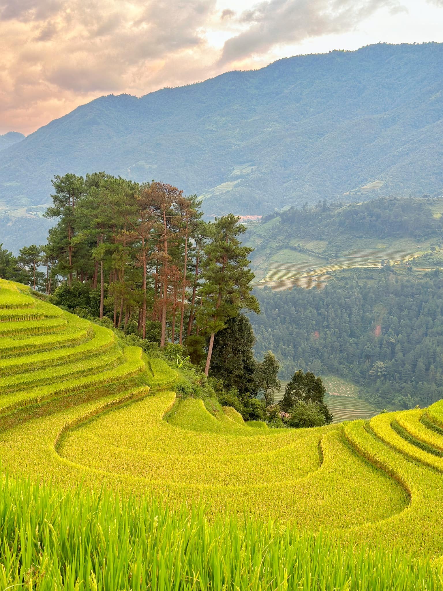 HỒ CHÍ MINH - HÀ NỘI - MÙ CANG CHẢI - SUỐI KHOÁNG NÓNG TRẠM TẤU 4N3Đ | TOUR MÙ CANG TRẢI KHỞI HÀNH TỪ HỒ CHÍ MINH