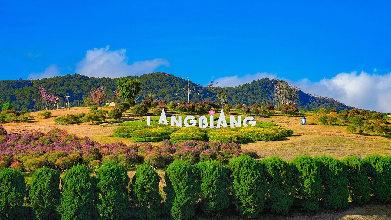 TOUR ĐÀ LẠT - SĂN MÂY CẦU ĐẤT - LANGBIANG LAND – TIỆC BBQ 3 NGÀY 3 ĐÊM | TOUR ĐÀ LẠT 3 NGÀY ĐÊM | Khởi hành: Tối Thứ 5 hàng tuần từ TP. Hồ Chí Minh