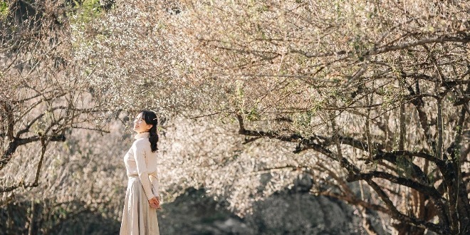 TP.HCM - MỘC CHÂU - MAI CHÂU 3N2Đ