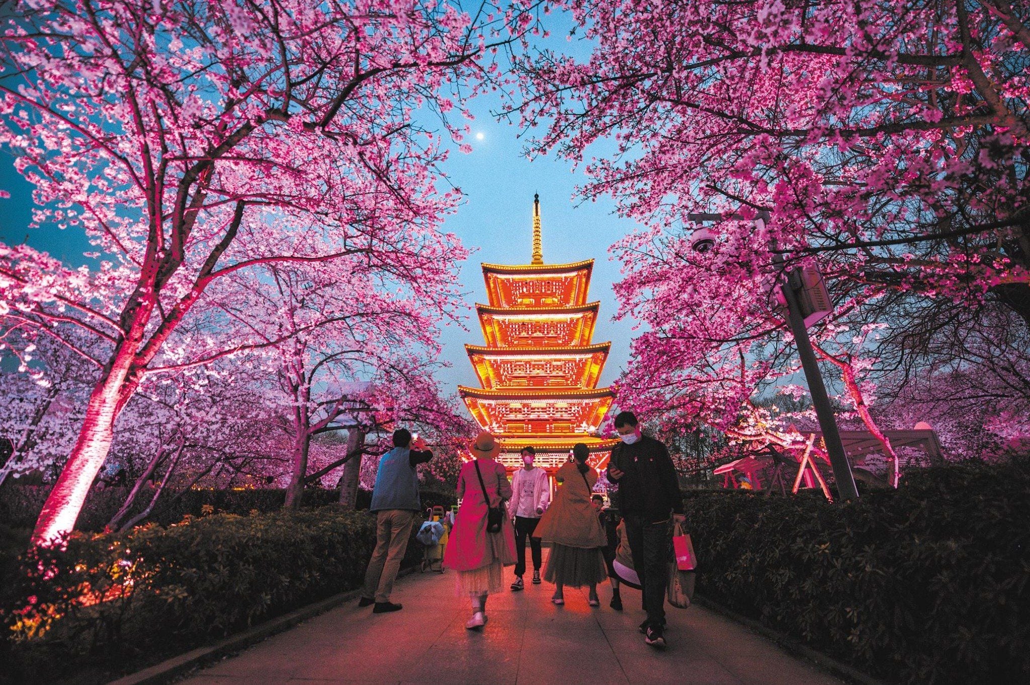 VŨ HÁN - KHAI PHONG - LẠC DƯƠNG - HOA SƠN - TÂY AN 7N6Đ| MÙA HOA ANH ĐÀO| KHỞI HÀNH TỪ HỒ CHÍ MINH