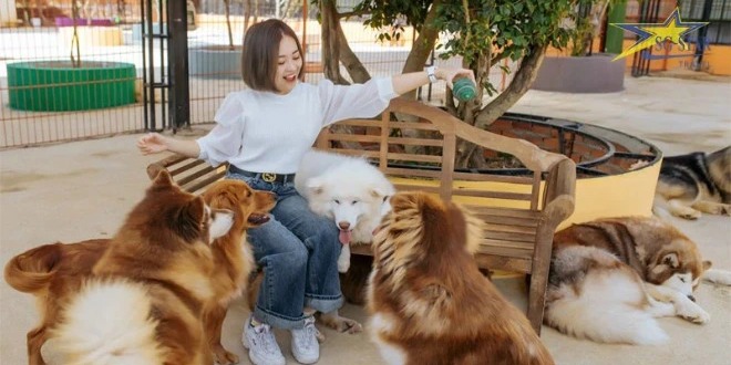 TOUR TP. HỒ CHÍ MINH - ĐÀ LẠT - HỒ CHÍ MINH 3N2Đ