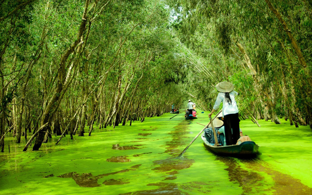CẦN THƠ 1 NGÀY