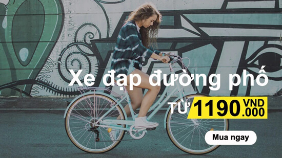 Xe đạp đường phố