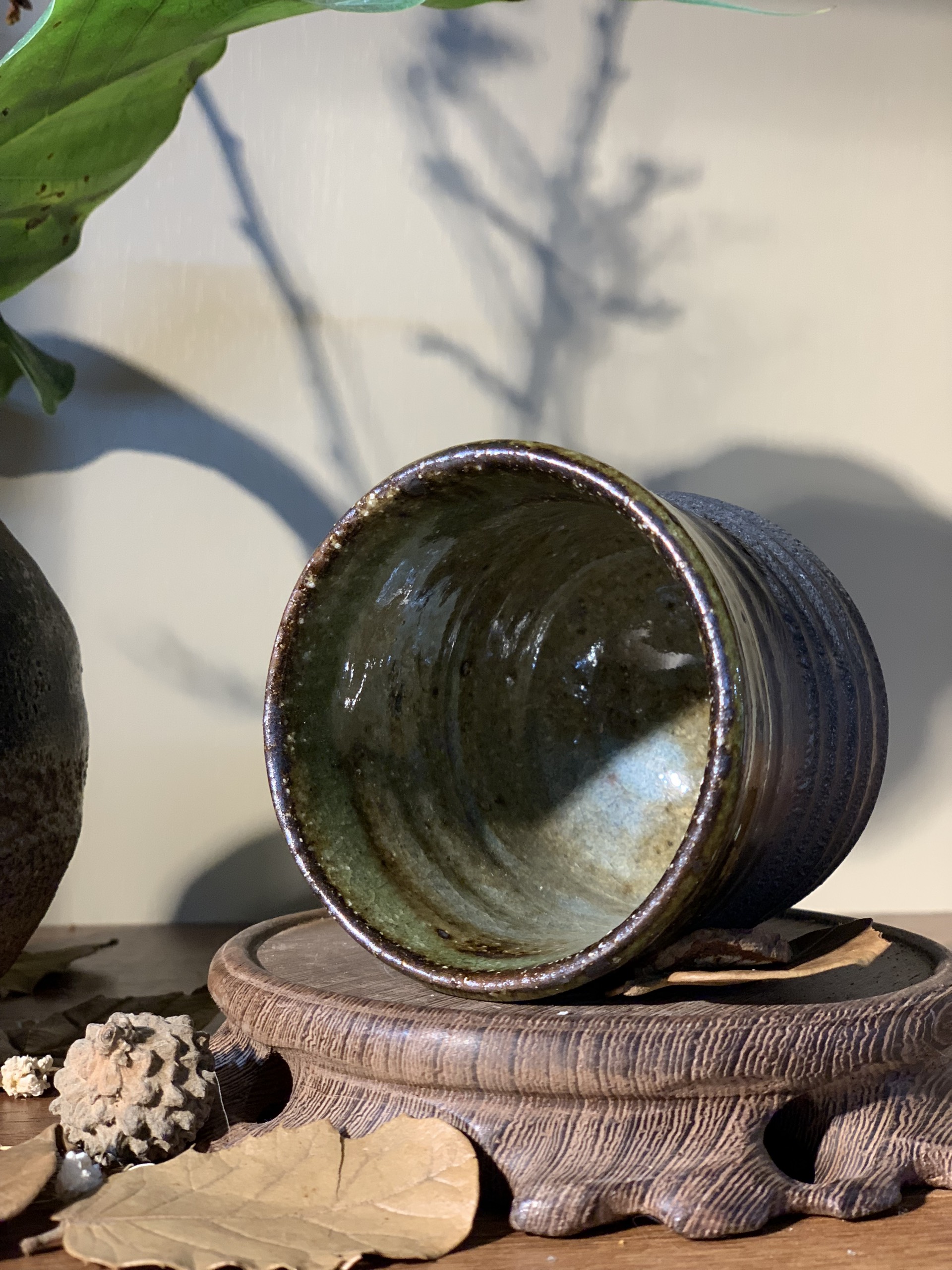 Cốc mộc lòng rêu