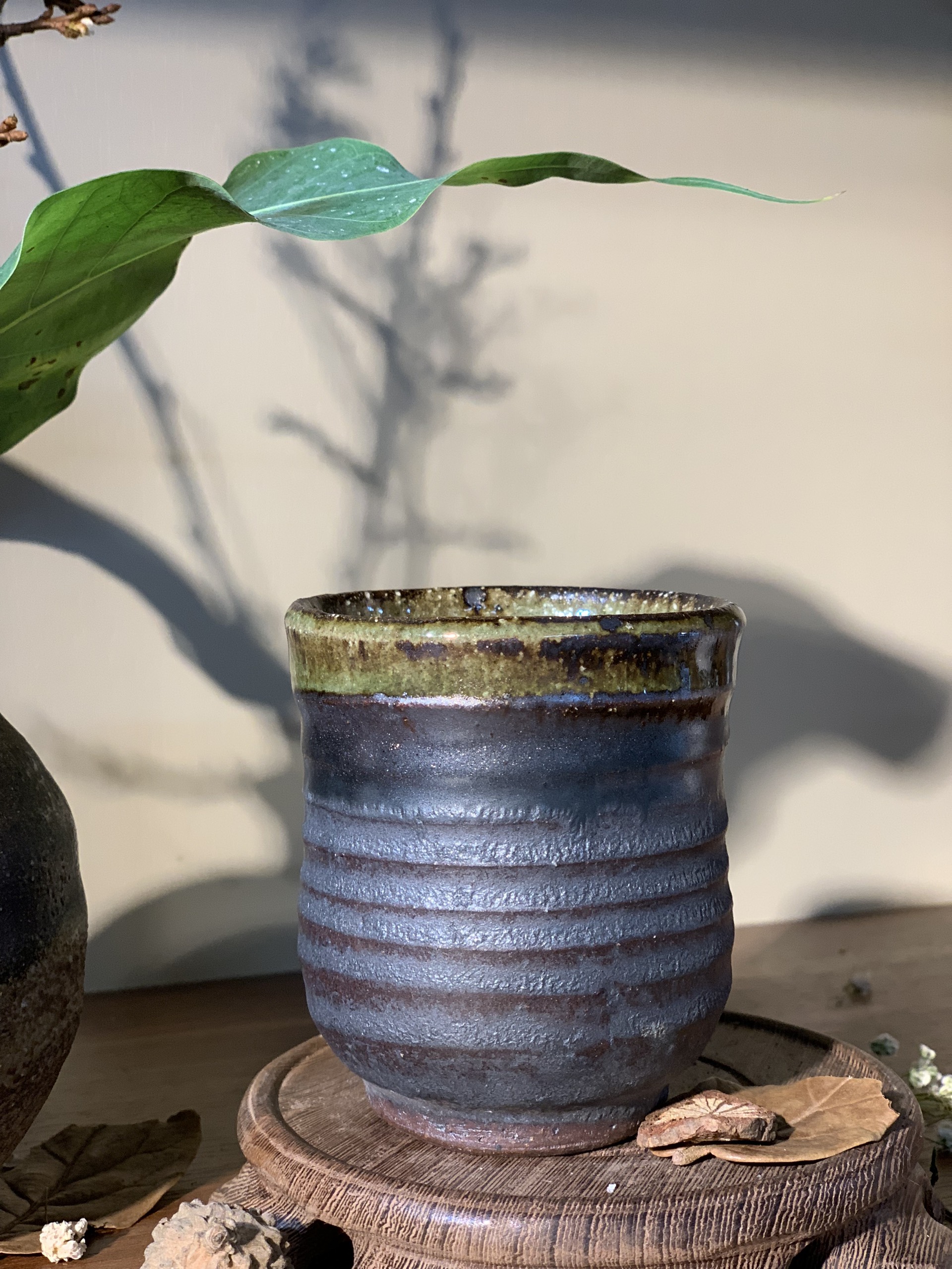 Cốc mộc lòng rêu