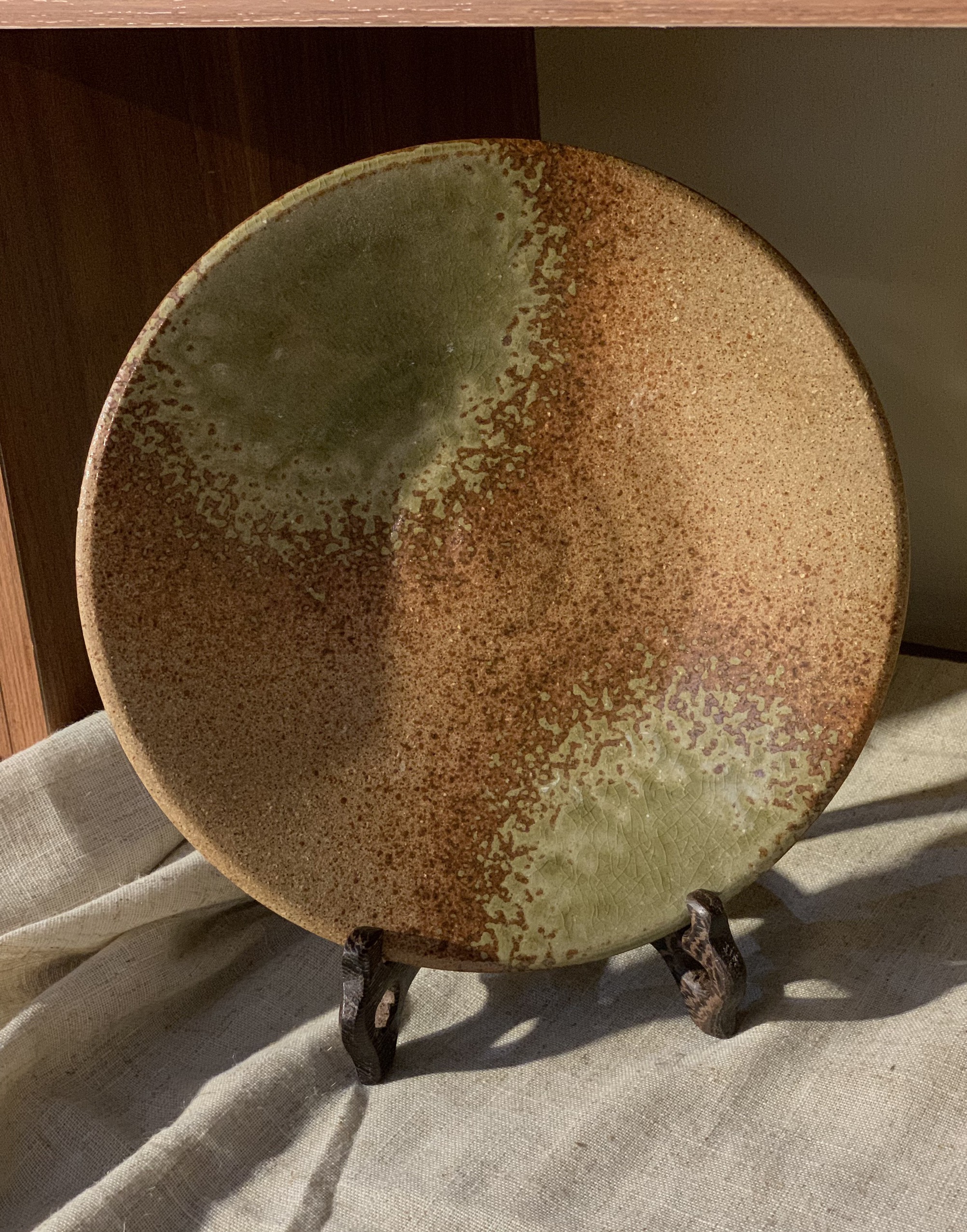 Đĩa mộc rêu nhám