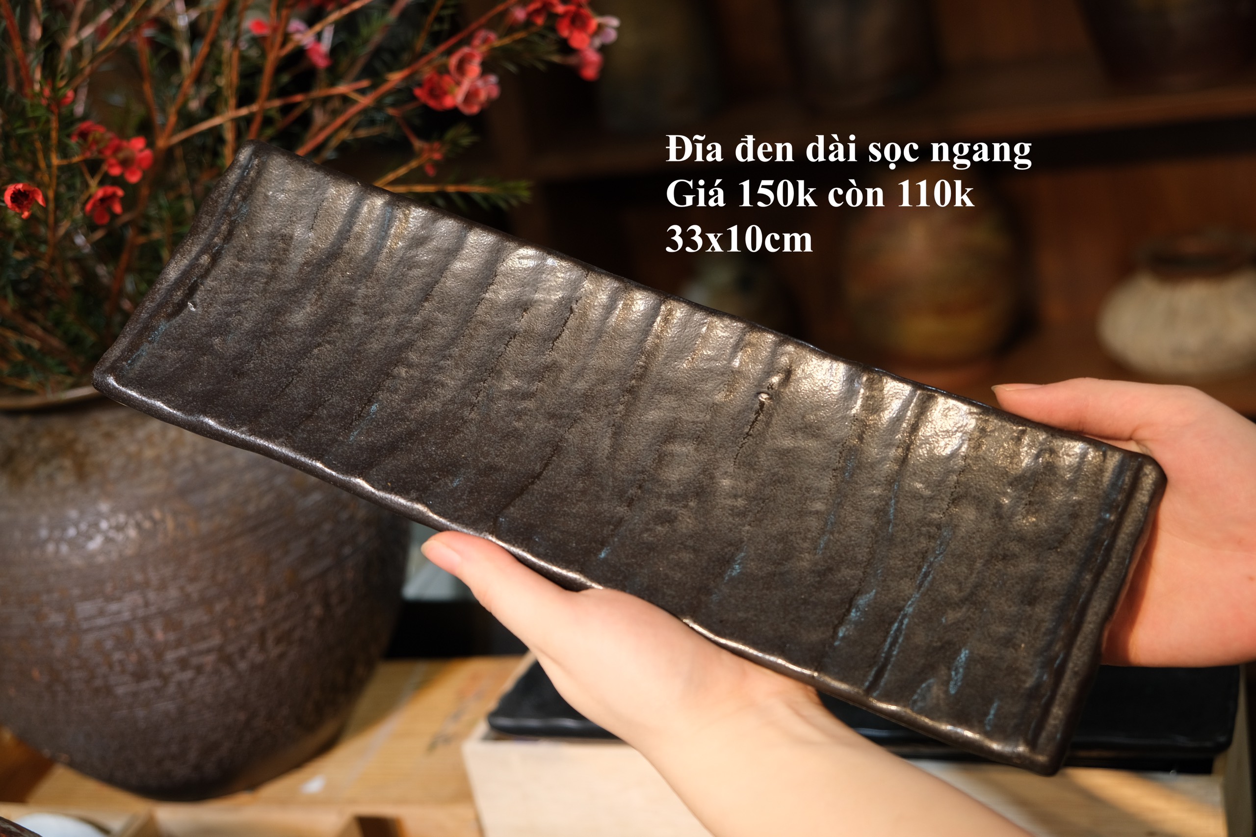 Đĩa đen dài sọc ngang