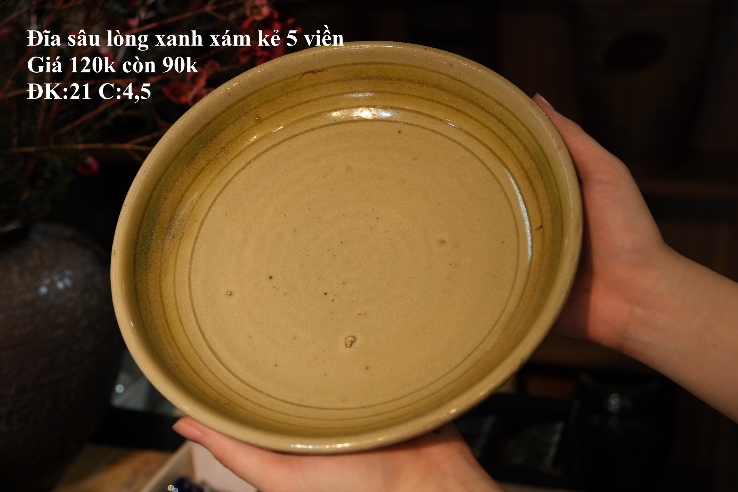 Đĩa sâu lòng kẻ viền nâu